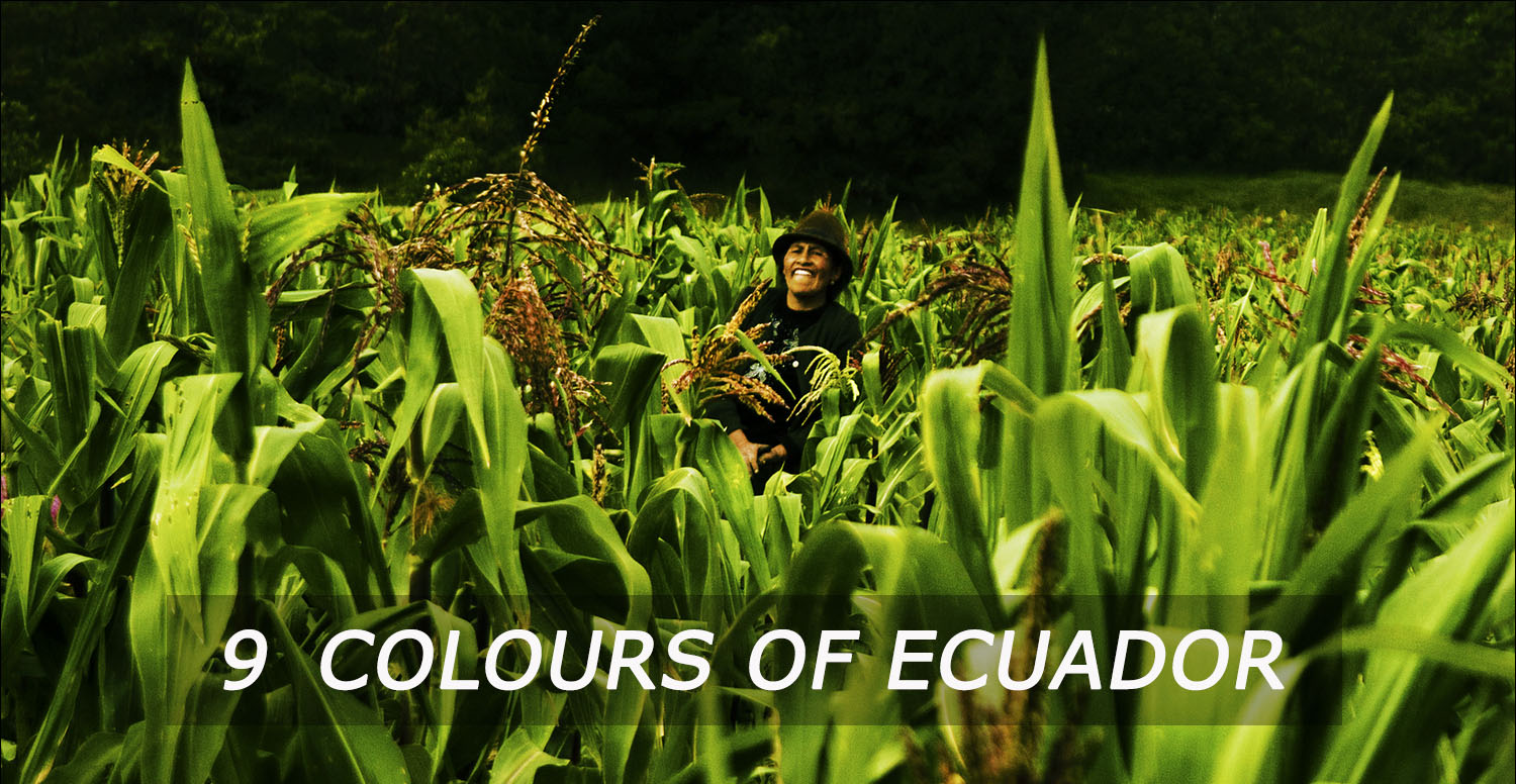 Photograph 9 Colours of Ecuador