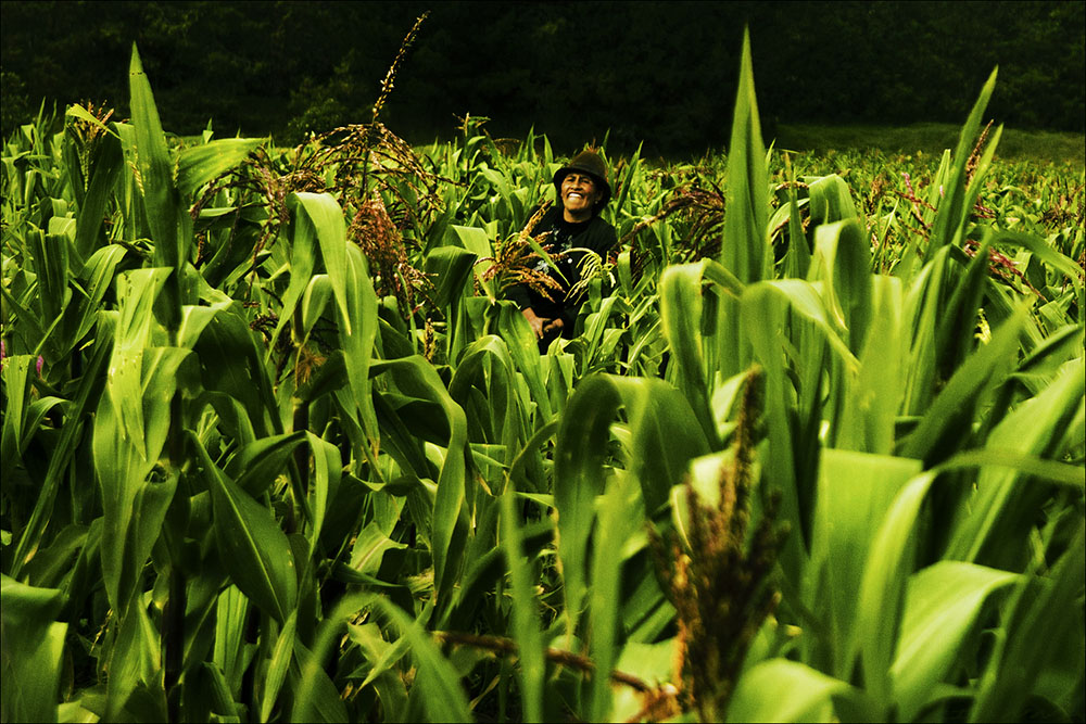 Foto de Proyecto '9 Colores de Ecuador' - Andean Corn Plantation